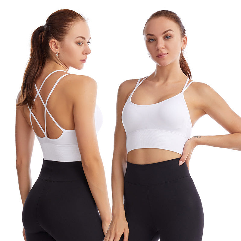 Energy Sports Bra