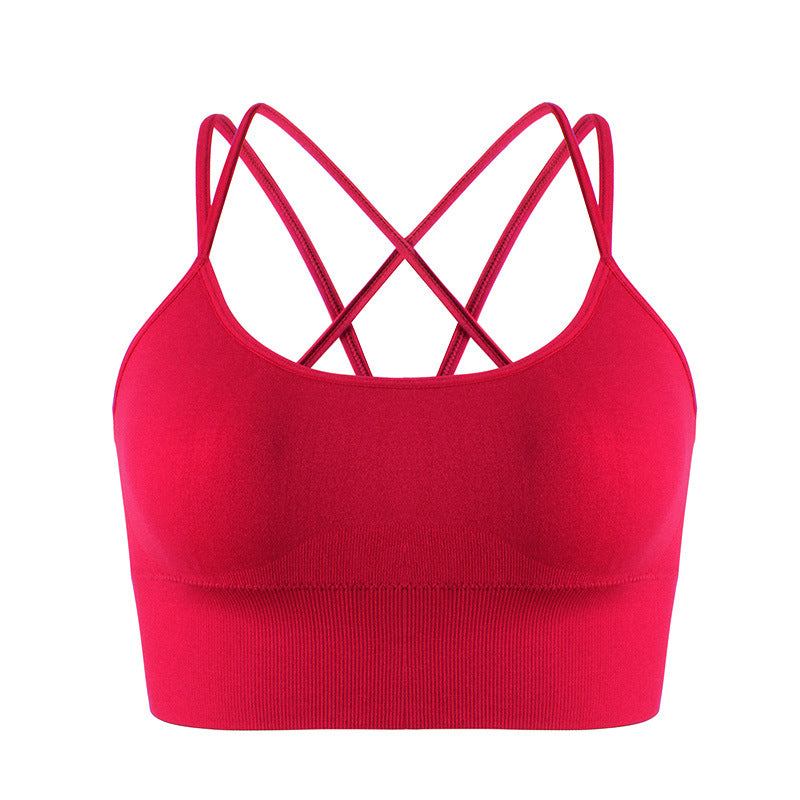 Energy Sports Bra