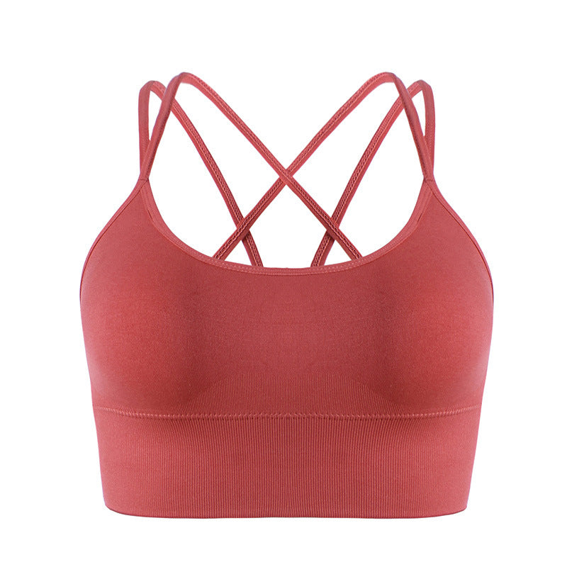 Energy Sports Bra
