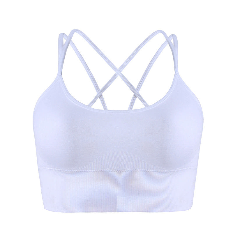 Energy Sports Bra